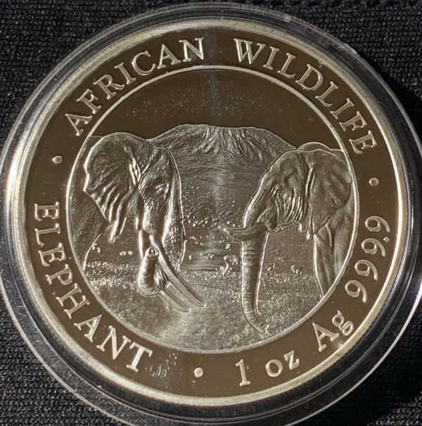 1 Oz 2020 Somalie 100 Schillings Elephant Argent 9999