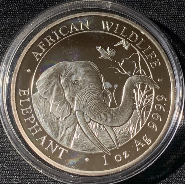 1 Oz 2018 Somalie 100 Schillings Elephant Argent 9999